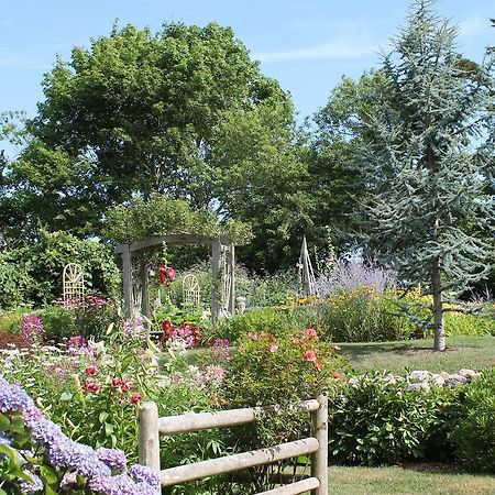 Lavender Bay Bed and Breakfast Barnstable Eksteriør billede
